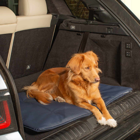 Lords & Labradors Travel Mat in Pacific Rhino Faux Leather