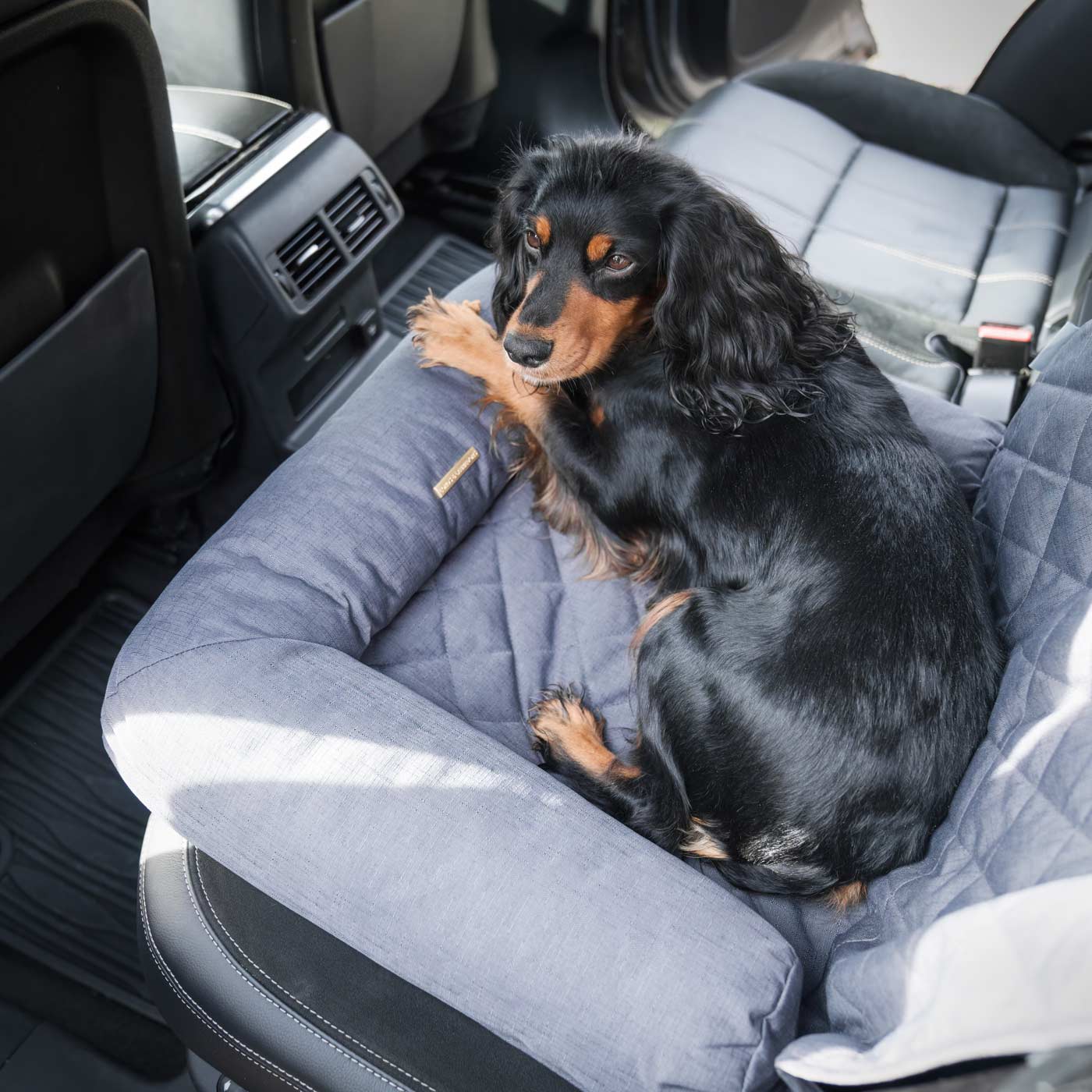 Lords Labradors Travel Seat Snoozer Lords Labradors