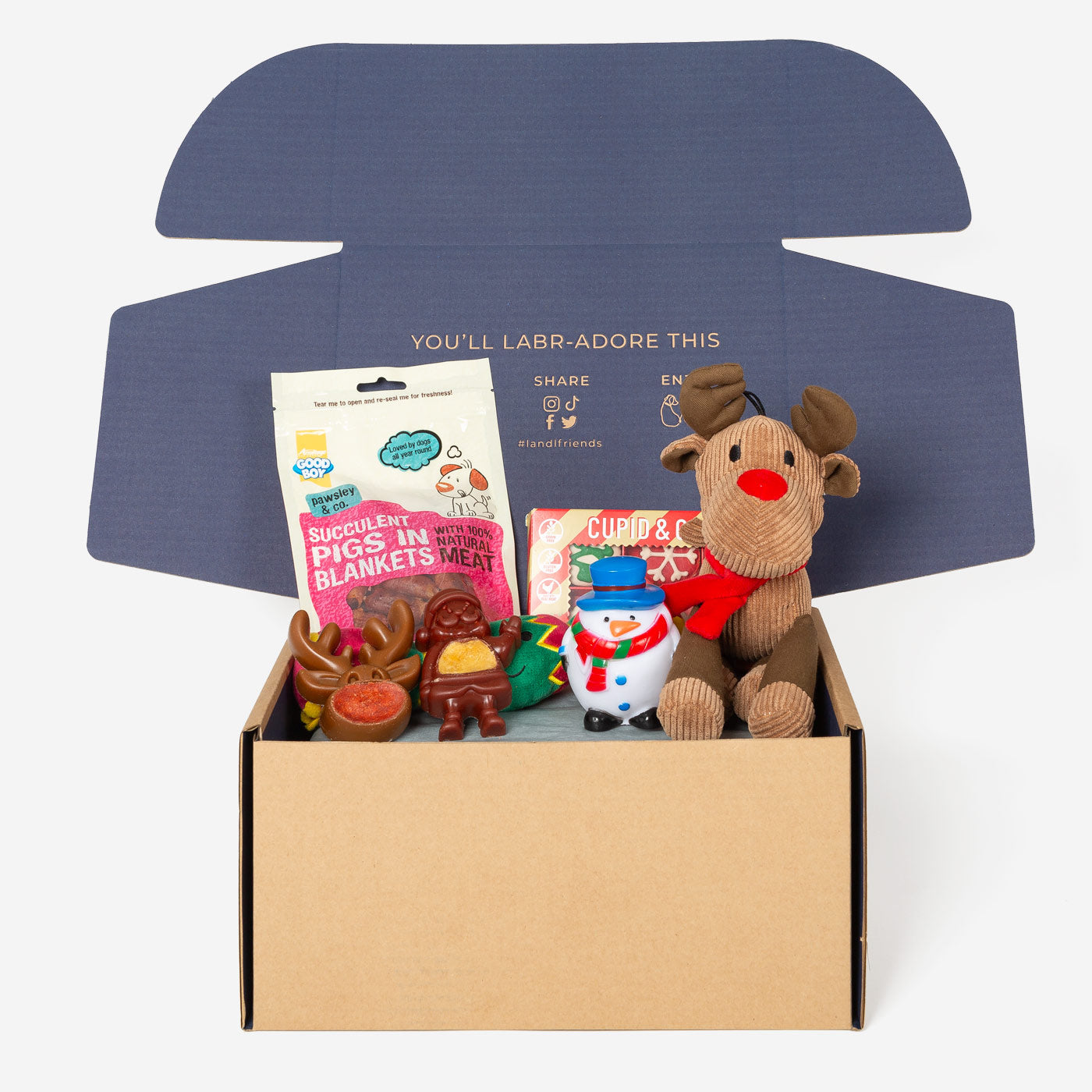 Christmas Dog Toy & Treat Gift Box, The Perfect Festive Gift For Pets, Available Now at Lords & Labradors