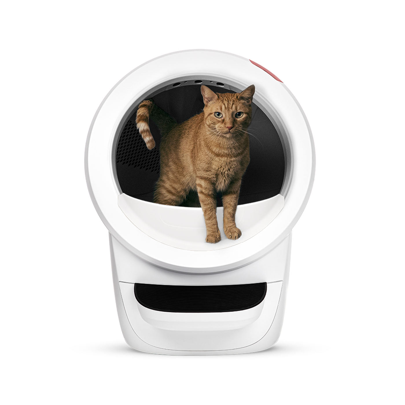 Litter-Robot 4 Automatic Self Cleaning Cat Litter Box with Step