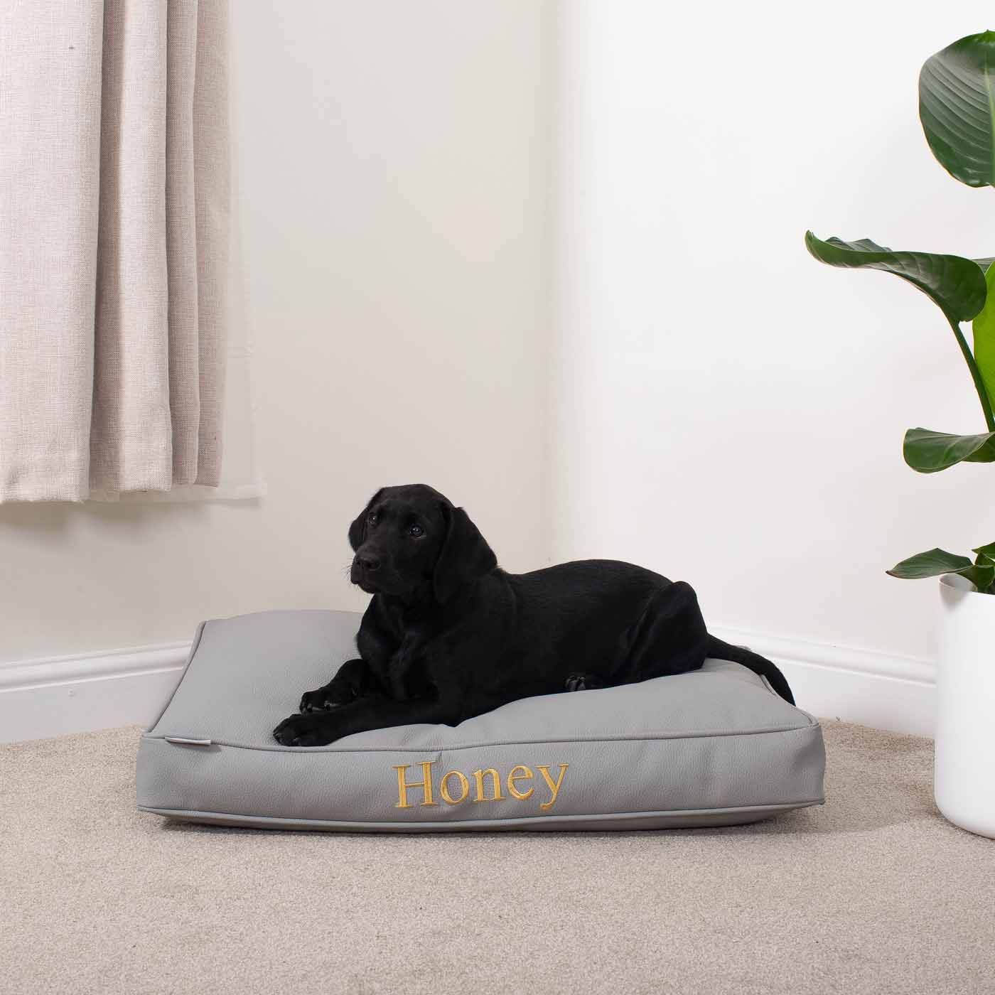 Luxury Dog Cushion in Rhino Tough Granite Faux Leather, The Perfect Pet Bed Time Accessory! Available Now at Lords & Labradors