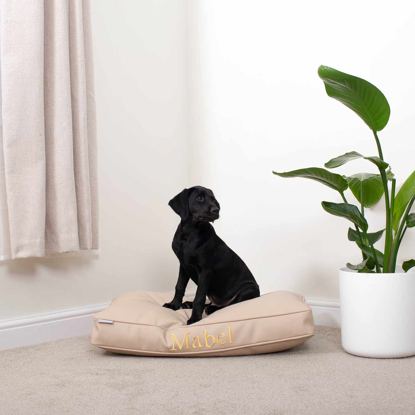 Luxury Dog Cushion in Rhino Tough Faux Leather in Sand, The Perfect Pet Bed Time Accessory! Available Now at Lords & Labradors