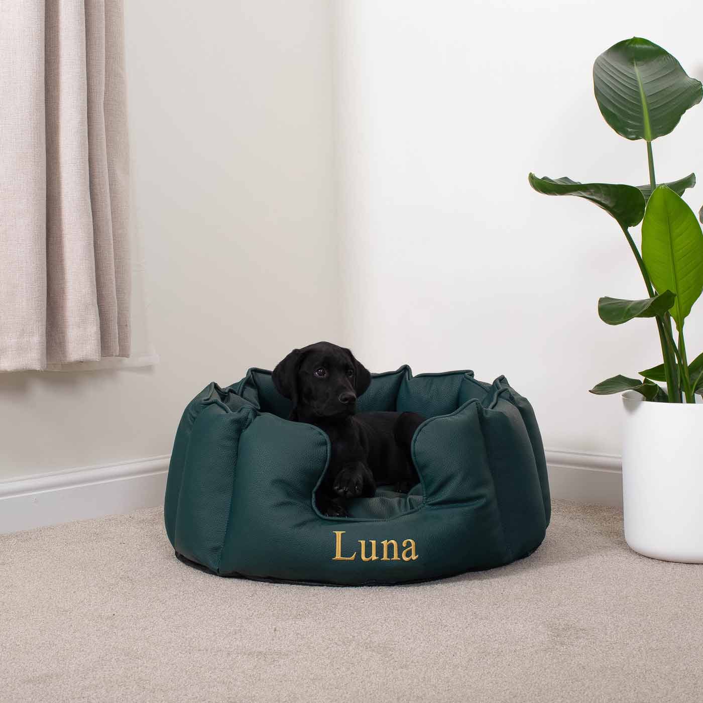 Luxury Handmade High Wall in Rhino Tough Faux Leather, in Forest Green, Perfect For Your Pets Nap Time! Available To Personalise at Lords & Labradors