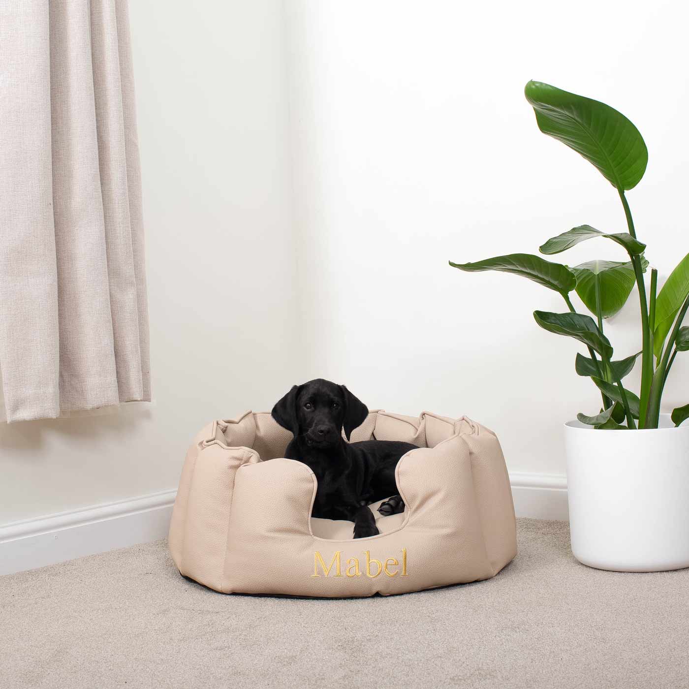 Luxury Handmade High Wall in Rhino Tough Faux Leather, in Sand, Perfect For Your Pets Nap Time! Available To Personalise at Lords & Labradors