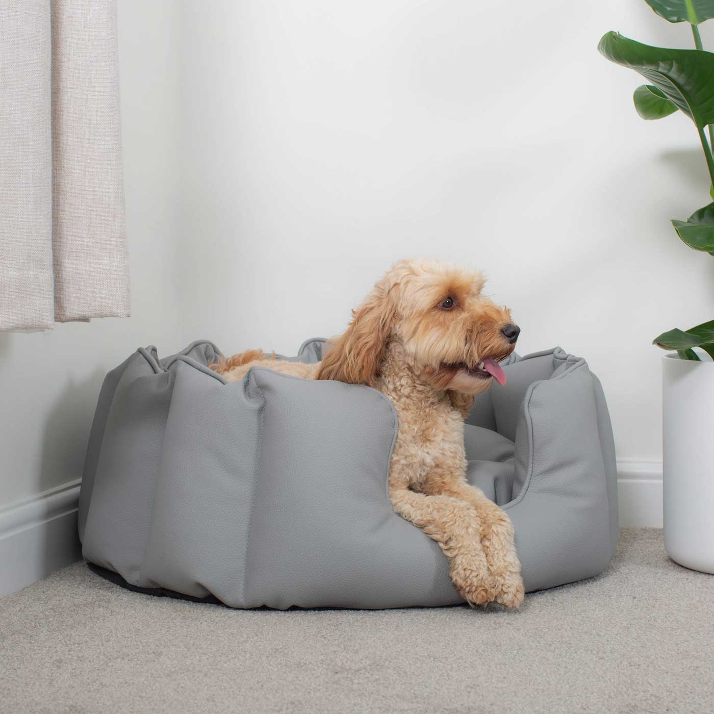 [colour:granite] Luxury Handmade High Wall in Rhino Tough Faux Leather, in Granite, Perfect For Your Pets Nap Time! Available To Personalise at Lords & Labradors