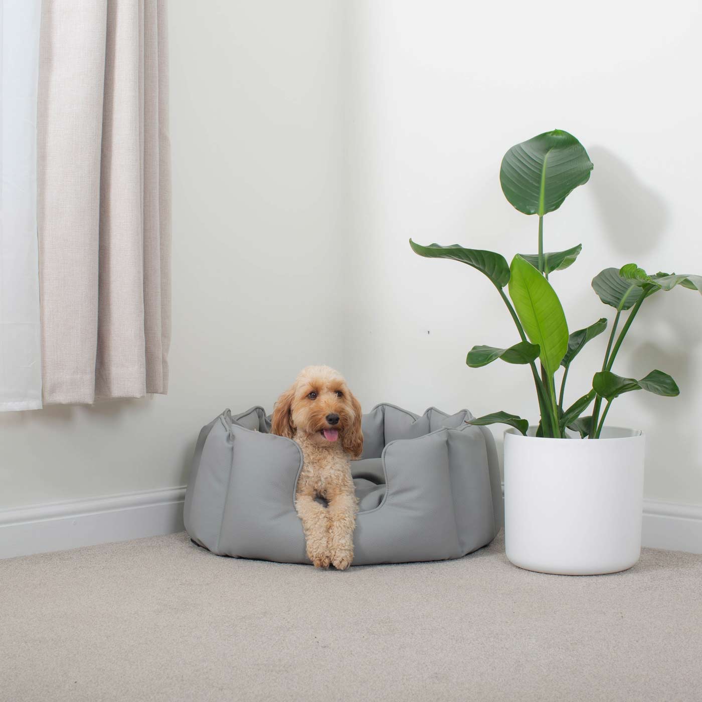 [colour:granite] Luxury Handmade High Wall in Rhino Tough Faux Leather, in Granite, Perfect For Your Pets Nap Time! Available To Personalise at Lords & Labradors