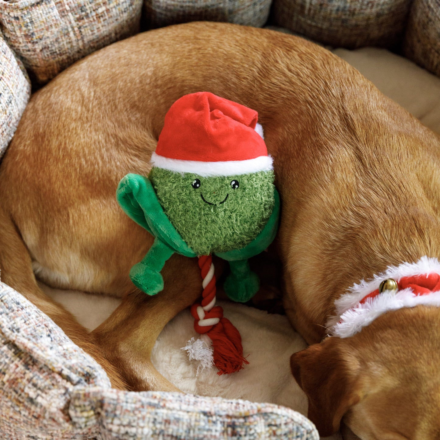 House of Paws Sprout Rope Christmas Toy