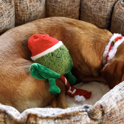 House of Paws Sprout Rope Christmas Toy