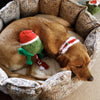 House of Paws Sprout Rope Christmas Toy