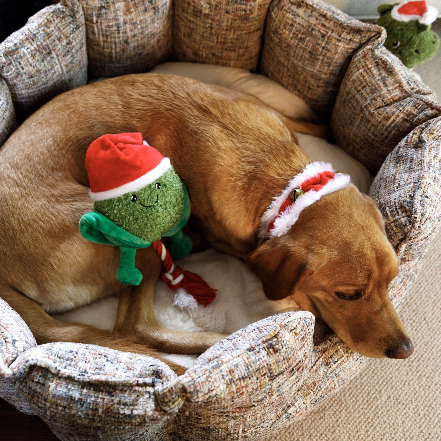 House of Paws Sprout Rope Christmas Toy