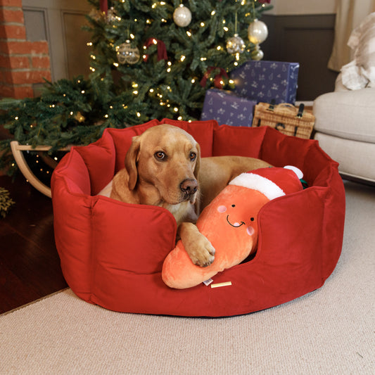 Zoon Santa Carrot Dog Toy