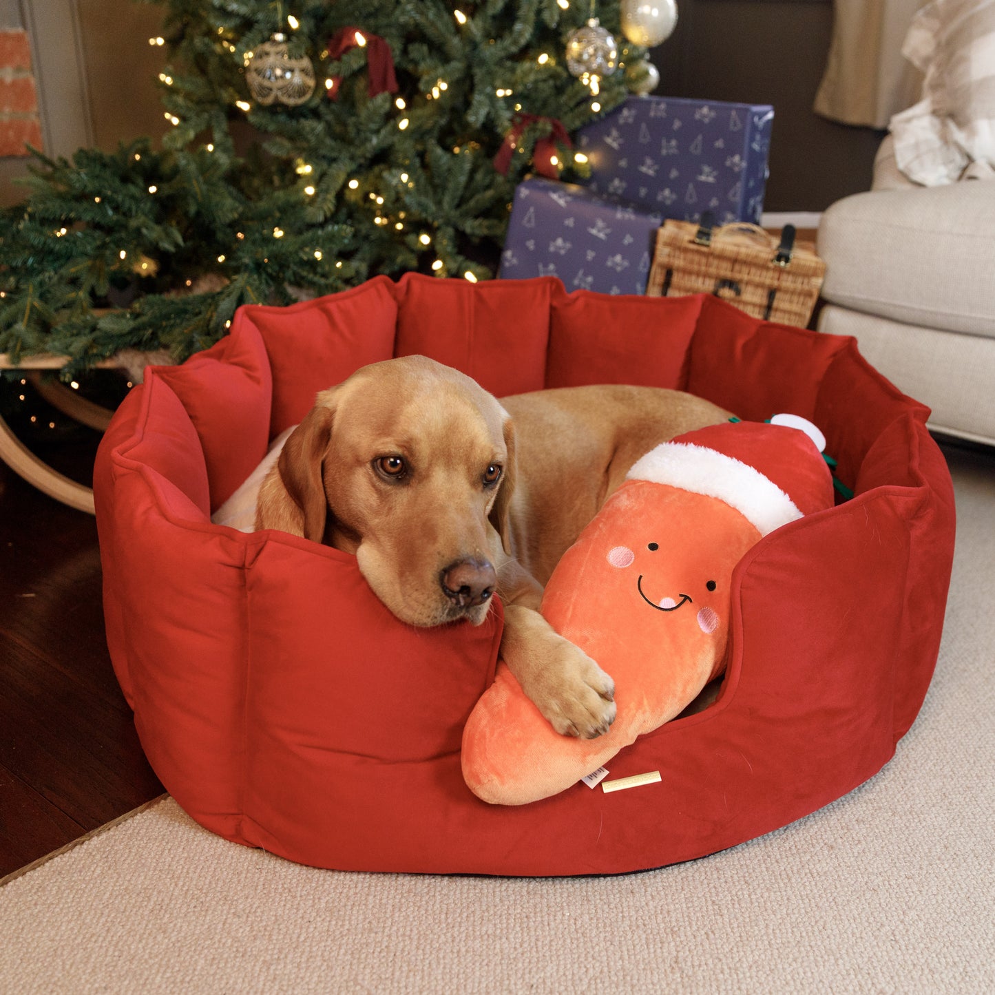 Zoon Santa Carrot Dog Toy