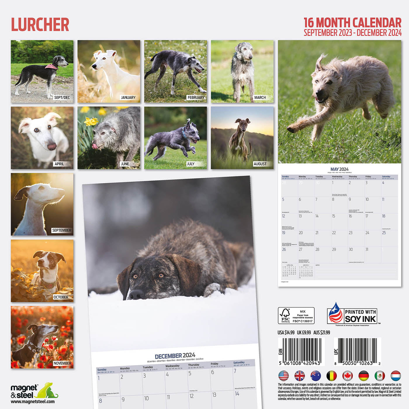 Lurcher Traditional Calendar 2024