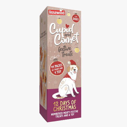 Luxury 12 Days Of Christmas Box For Dogs