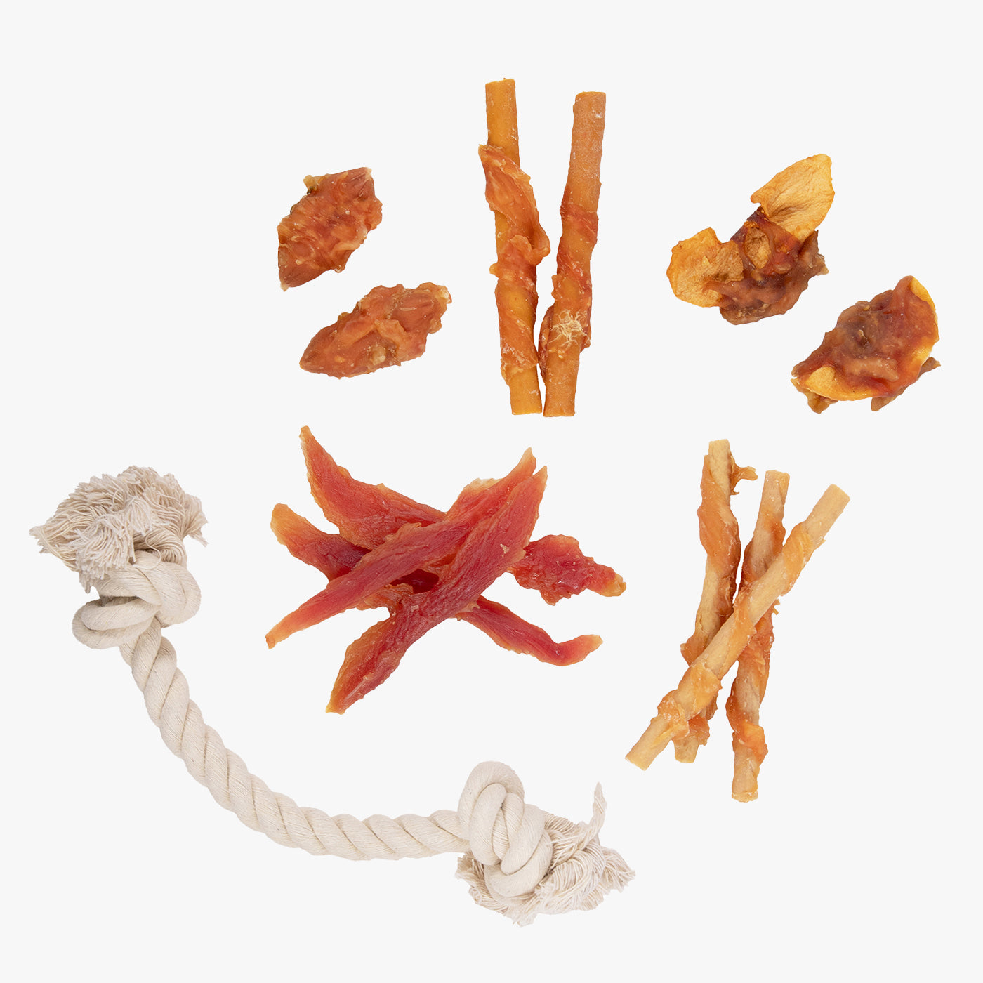 Luxury 12 Days Of Christmas Box For Dogs