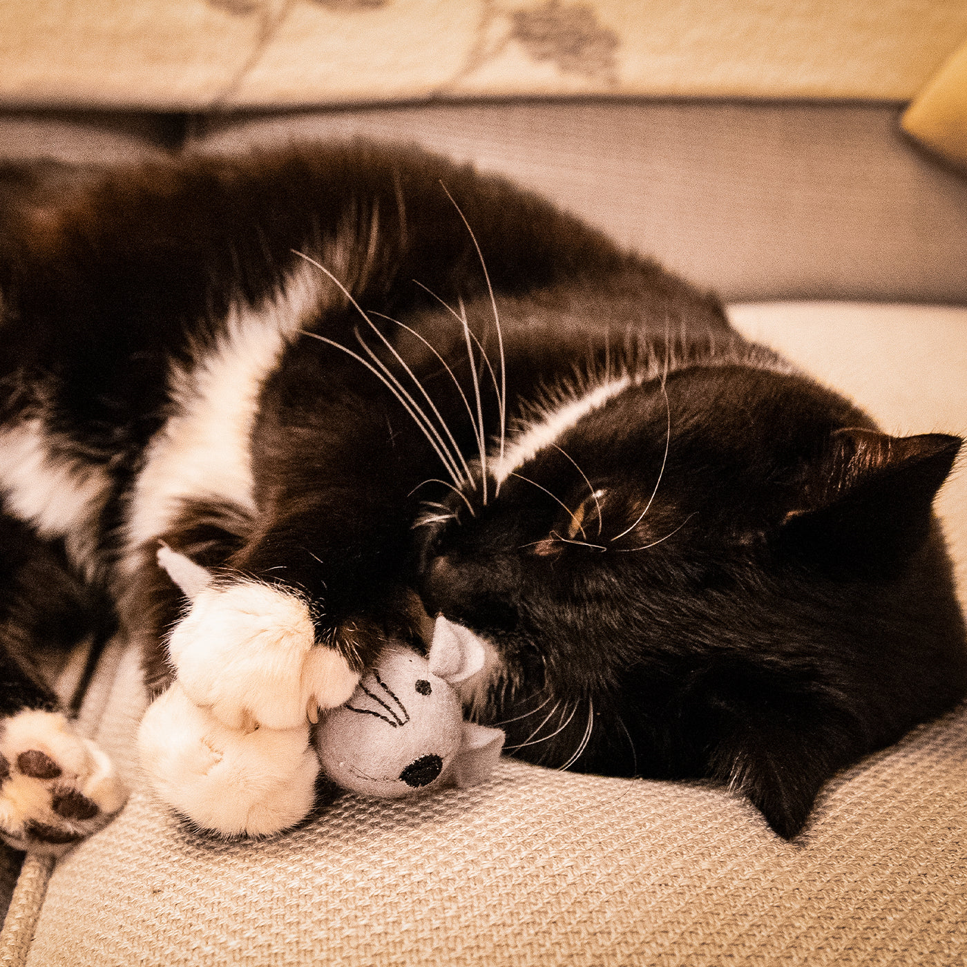 Martha & Mayor Mice Duo Cat Toys