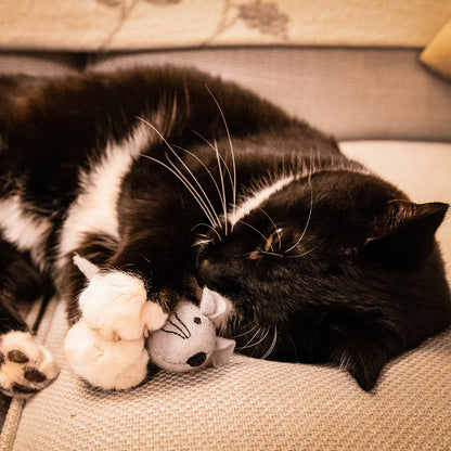 Martha & Mayor Mice Duo Cat Toys
