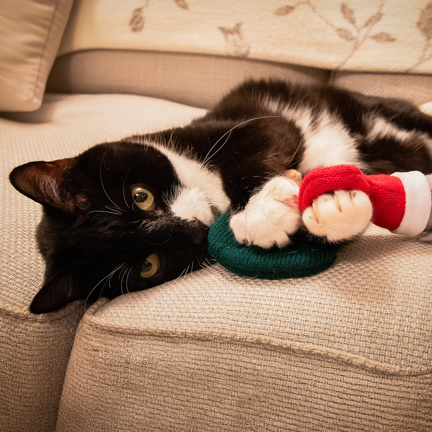 Martha & Mayor Mice Duo Cat Toys
