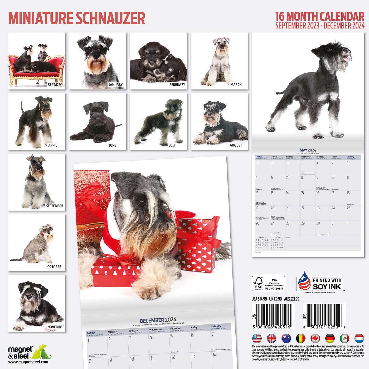 Miniature Schnauzer Modern Calendar 2024
