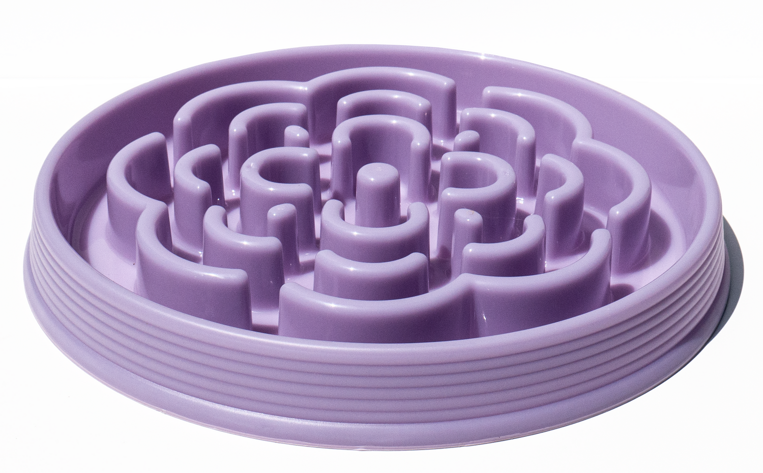 Slow Feeder Bowls