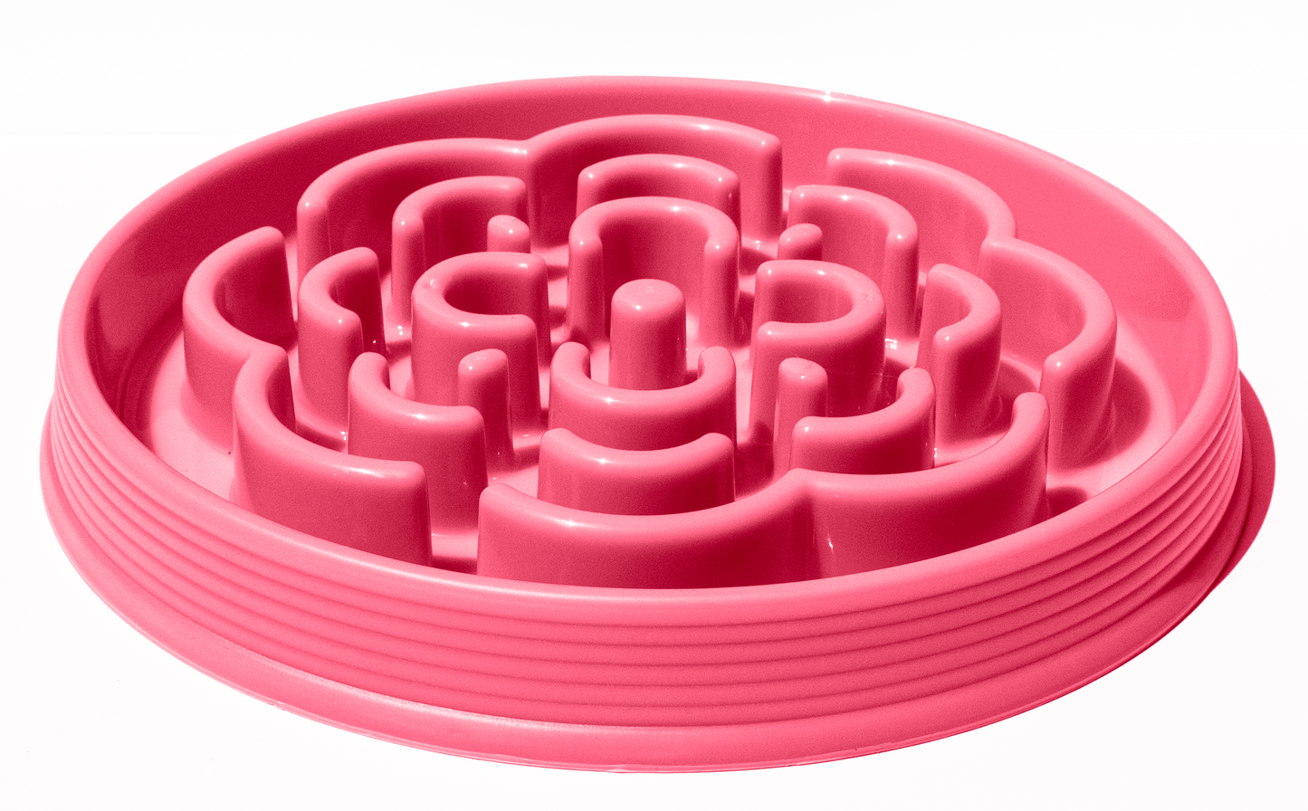 Slow Chow Medallion Feeder
