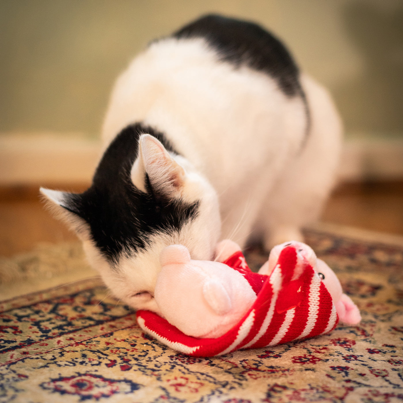 Penny Pig In Blanket Cat Toy