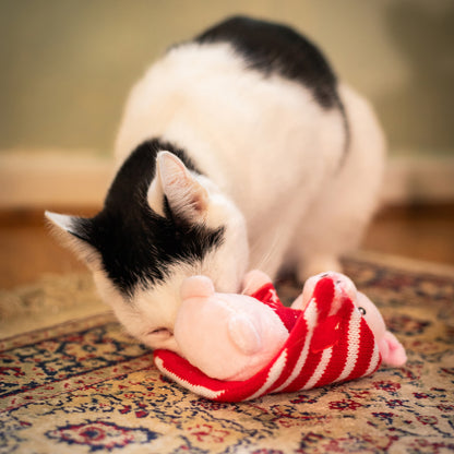 Penny Pig In Blanket Cat Toy