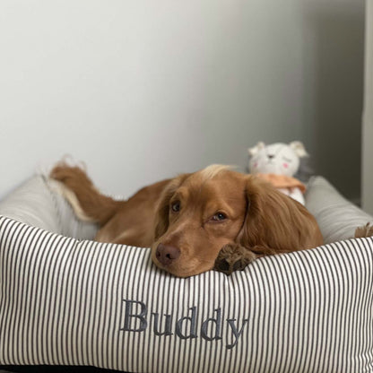 Box Bed For Dogs in Regency Stripe