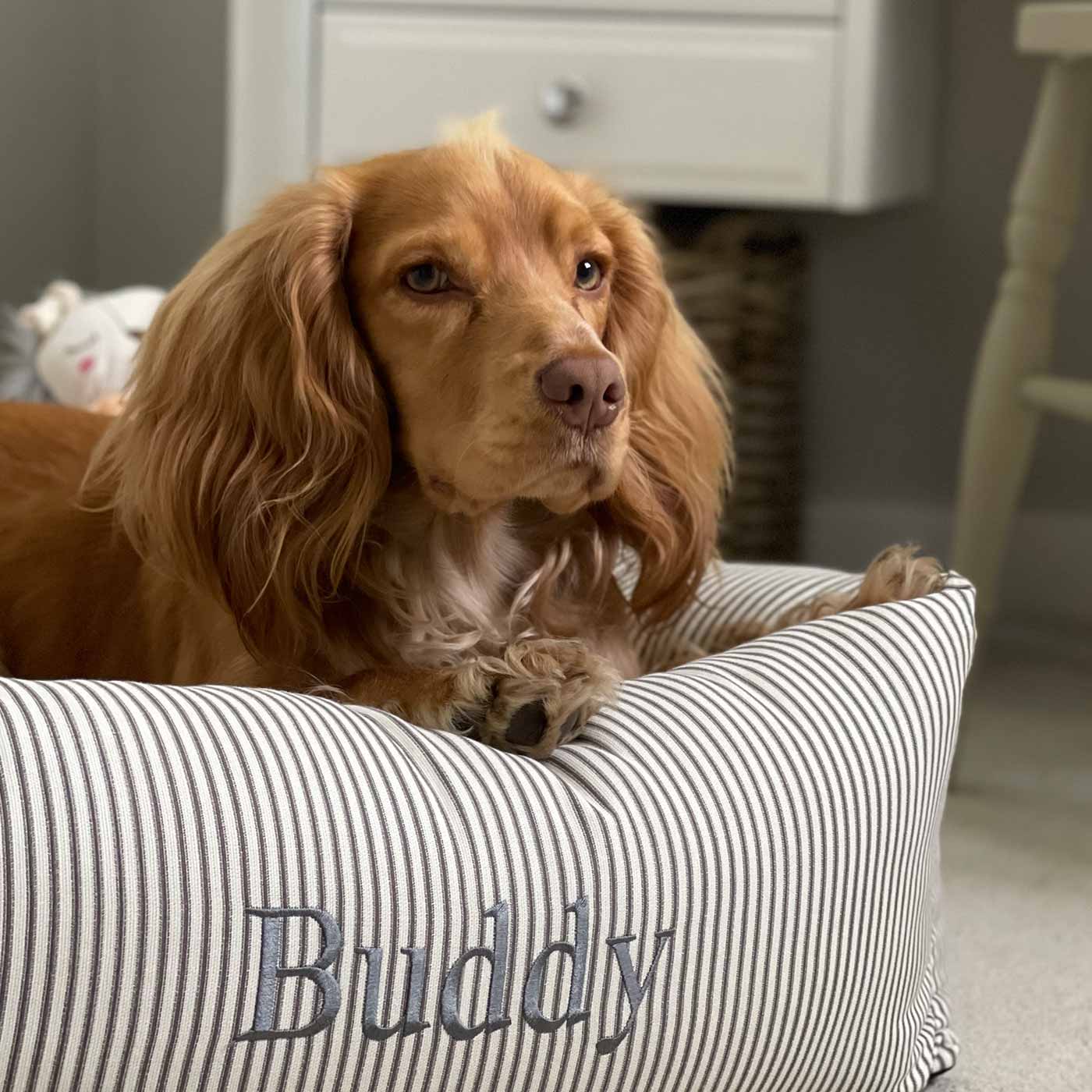 Luxury Handmade Box Bed For Dogs, A Regency Stripe Dog Box Bed, Perfect For Your Pets Nap Time! Available To Personalise at Lords & Labradors