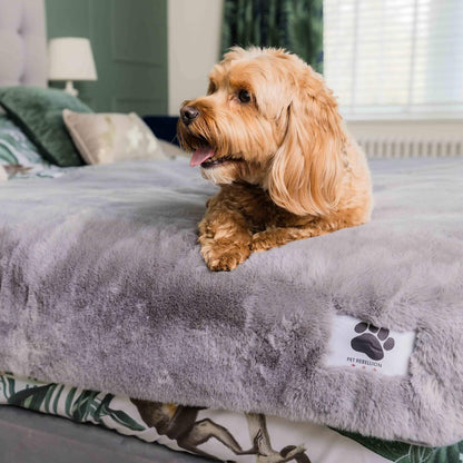 Pet Rebellion Faux Fur Comfy Sofa Cover Grey