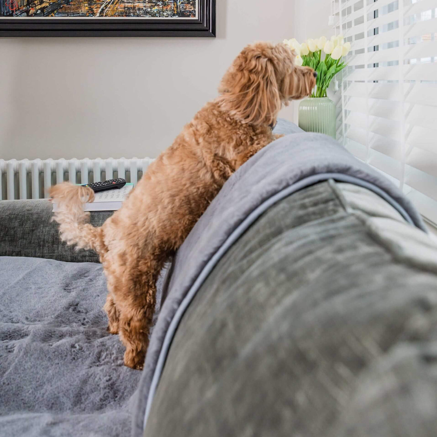 Pet Rebellion Faux Fur Comfy Sofa Cover Grey