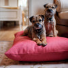 The Lounging Hound Twist Pillow Bed