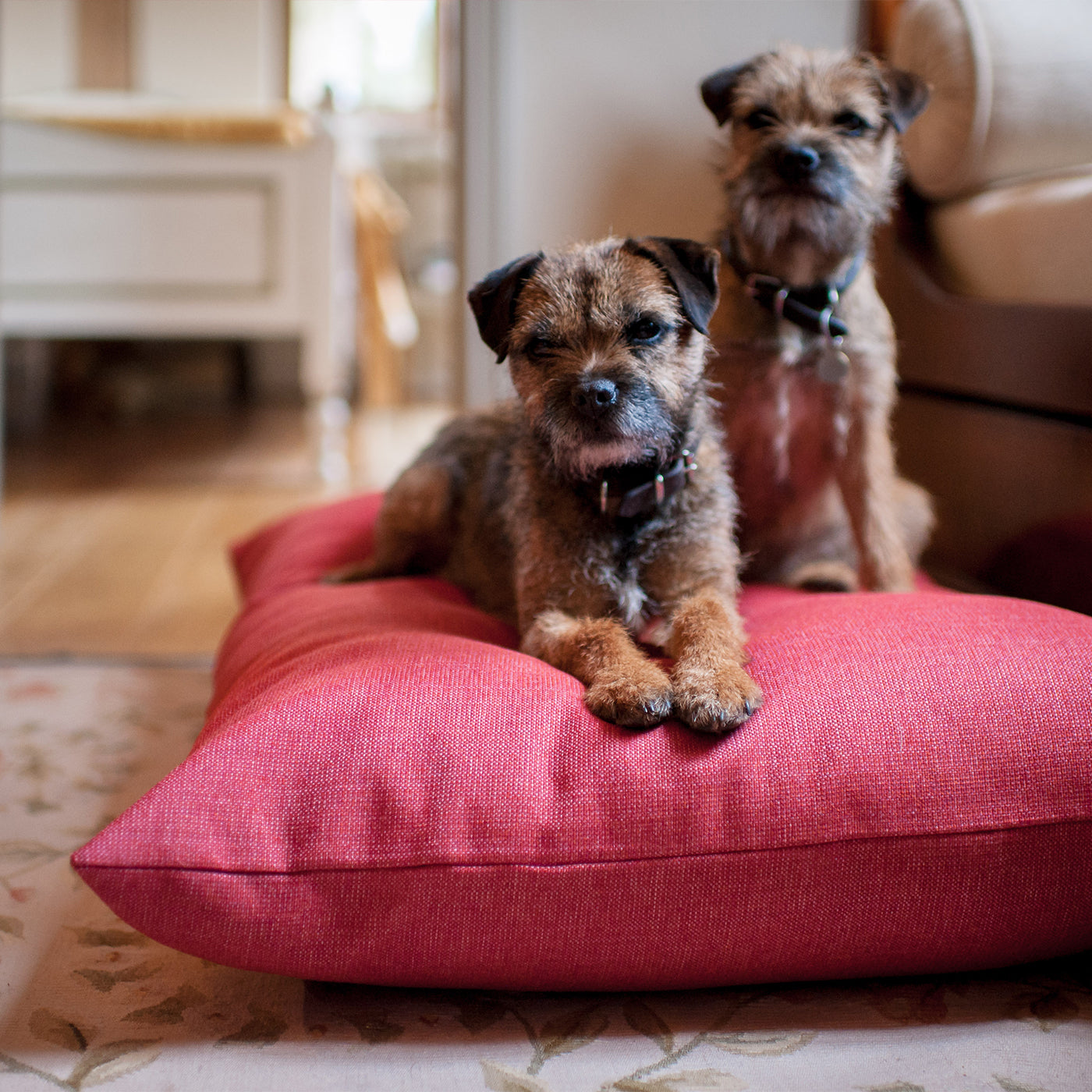 The Lounging Hound Twist Pillow Bed In Cerise, Luxury Dog Beds & Pillows, Available Now at Lords & Labradors