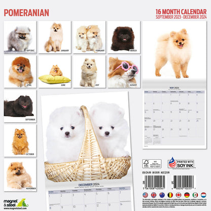 Pomeranian Modern Calendar 2024