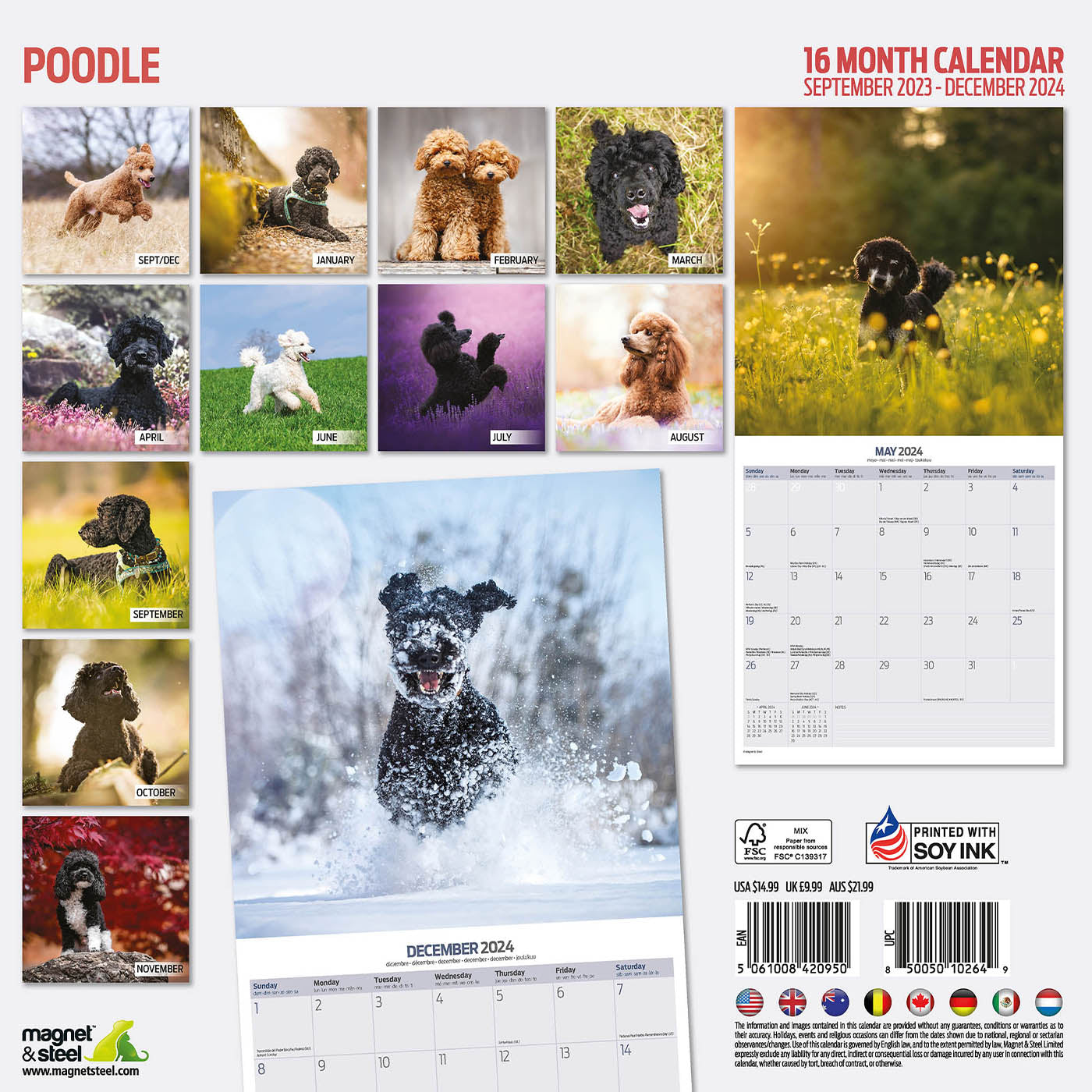 Poodle Traditional Calendar 2024