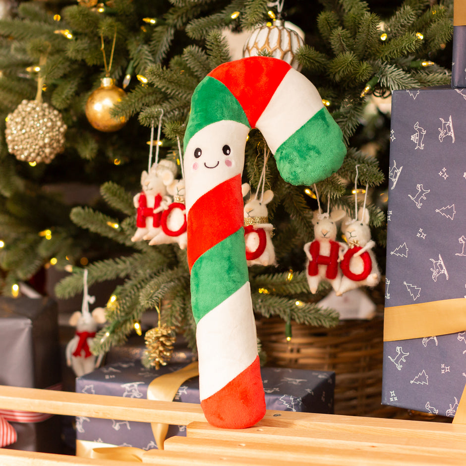 create-your-ideal-puppy-bedtime-routine-l-l-info-hub-lords-labradors