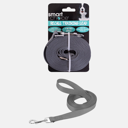Recall Dog Lead 4 Metres