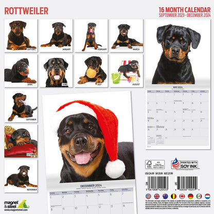 Rottweiler Modern Calendar 2024