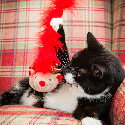 Roxy Reindeer Cat Teaser