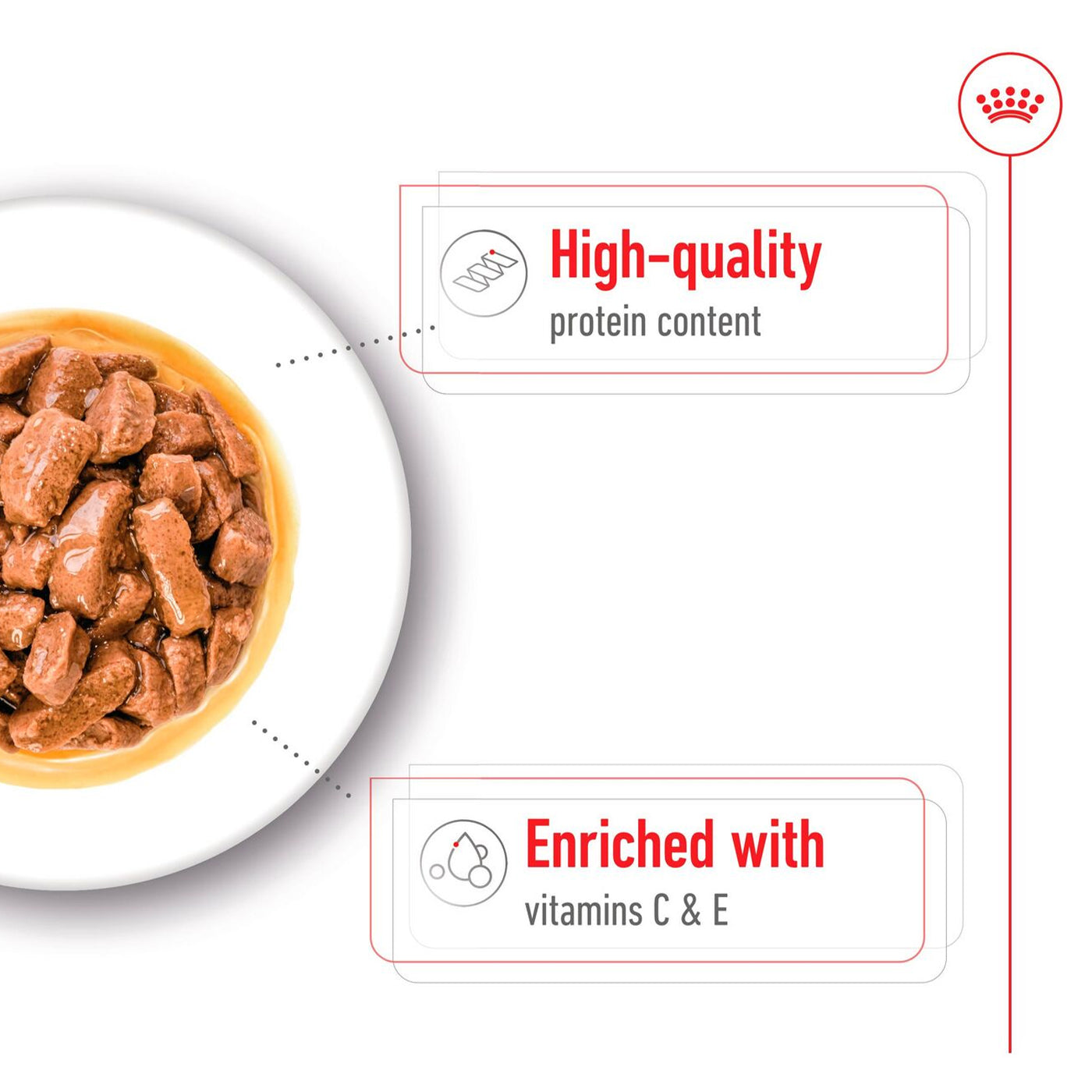 Royal Canin Medium Breed Adult Wet Dog Food (10 x 140g)