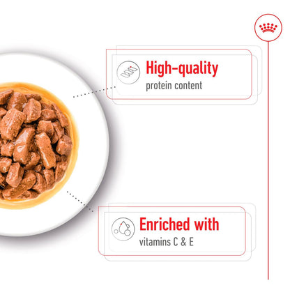 Royal Canin Medium Breed Adult Wet Dog Food (10 x 140g)