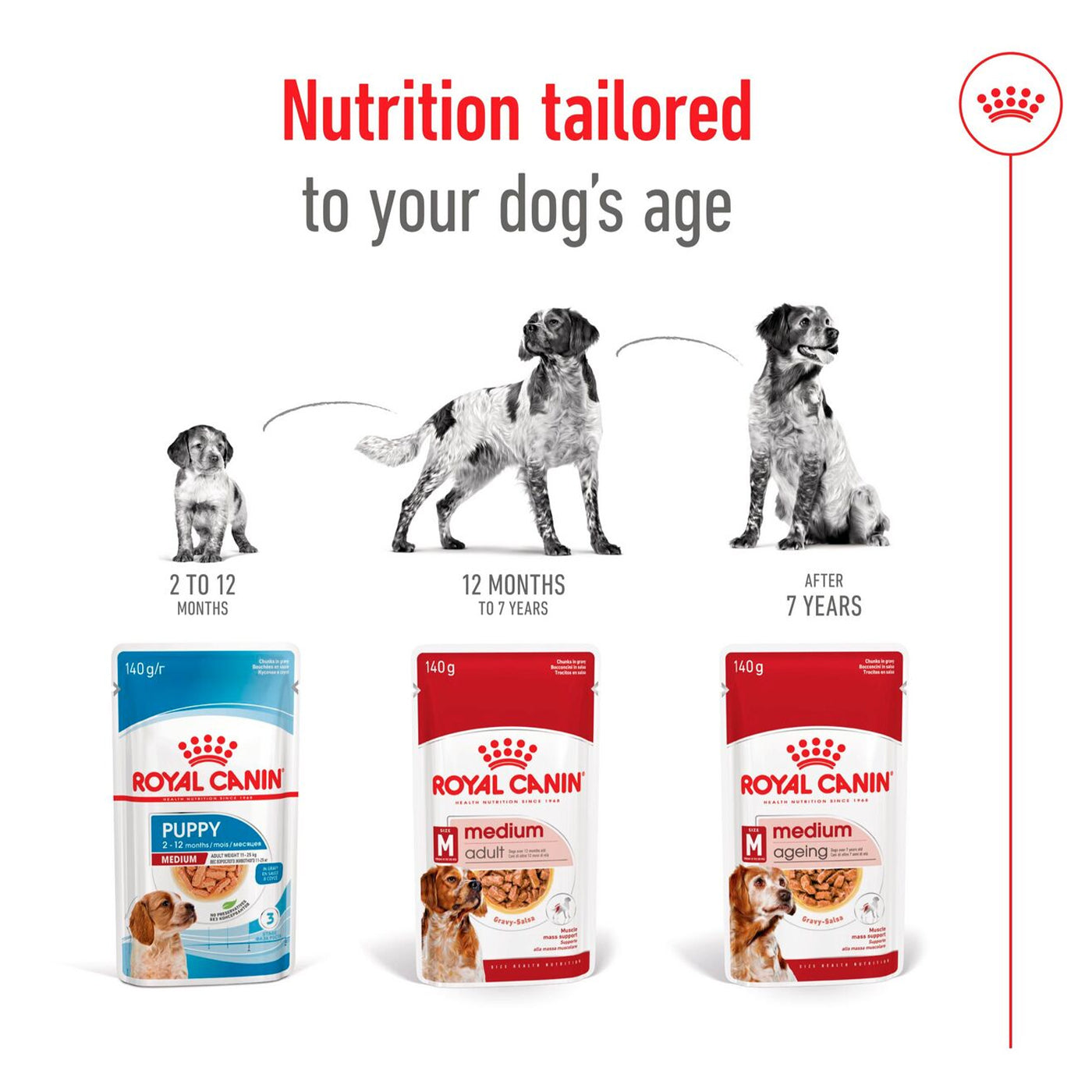 Royal Canin Medium Breed Adult Wet Dog Food (10 x 140g)