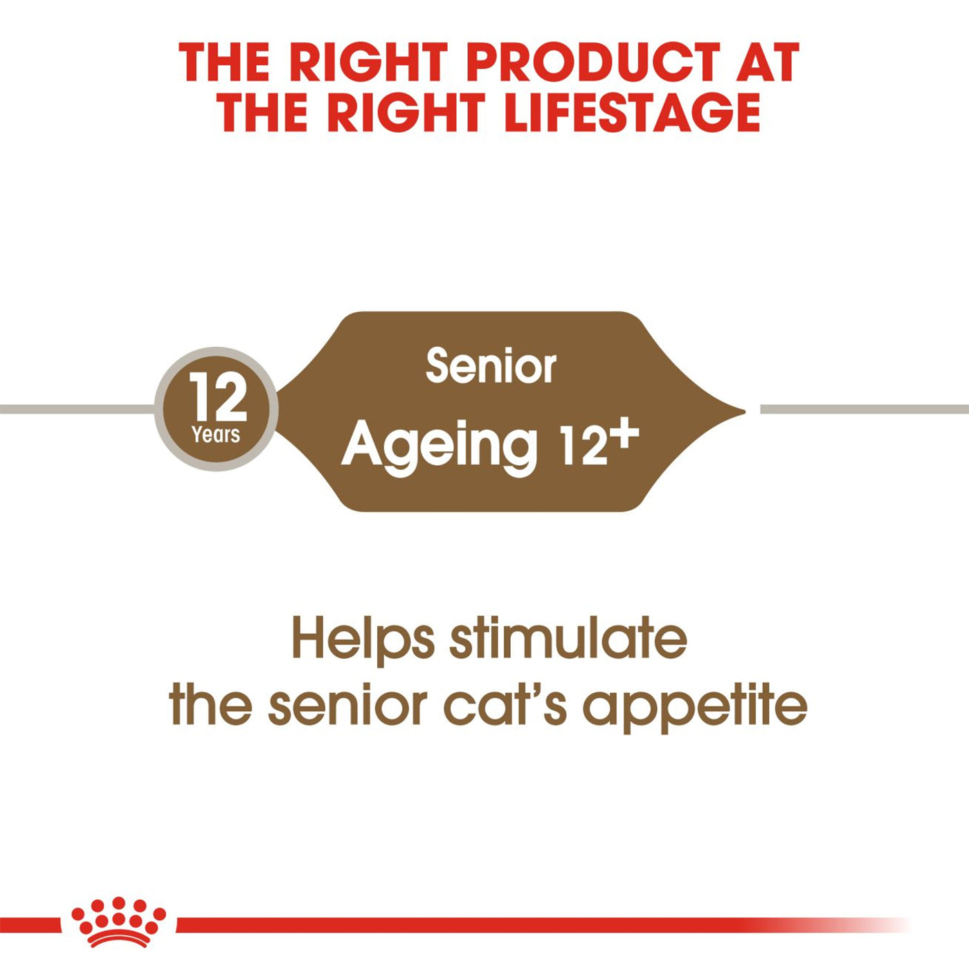 Royal Canin Ageing 12+ Senior Dry Cat Food 4KG