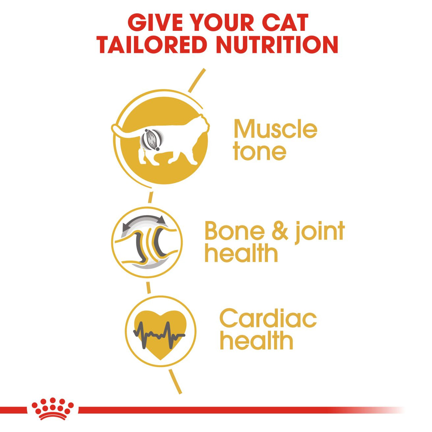 Royal Canin British Shorthair Cat Food