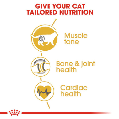 Royal Canin British Shorthair Cat Food