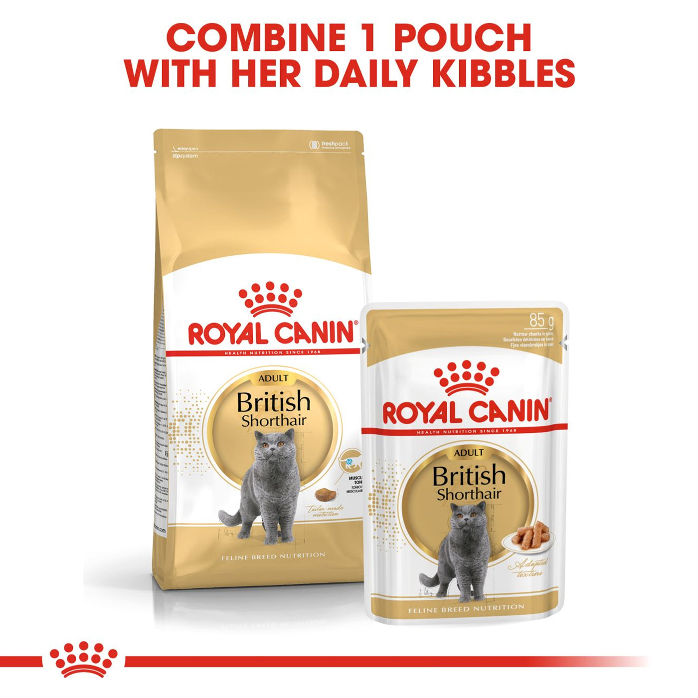 Royal Canin British Shorthair Cat Food