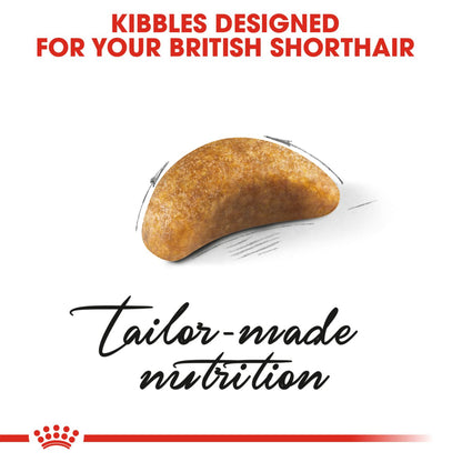 Royal Canin British Shorthair Kitten Dry Food 2KG