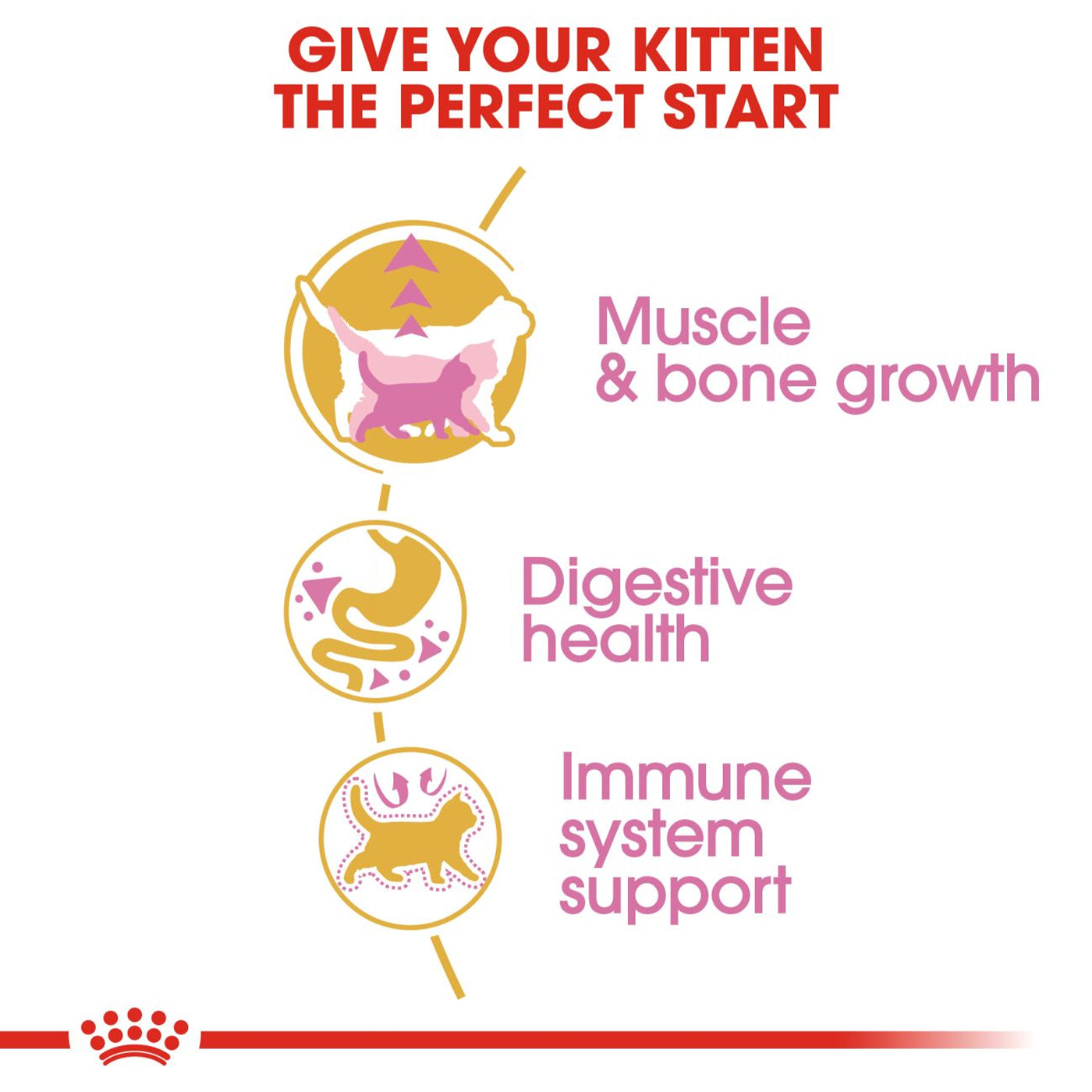 Royal Canin British Shorthair Kitten Dry Food 2KG