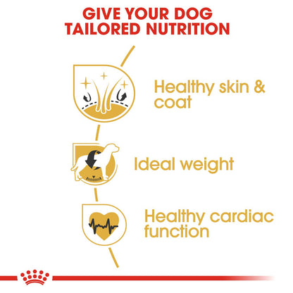 Royal Canin Cocker Adult Dog Food