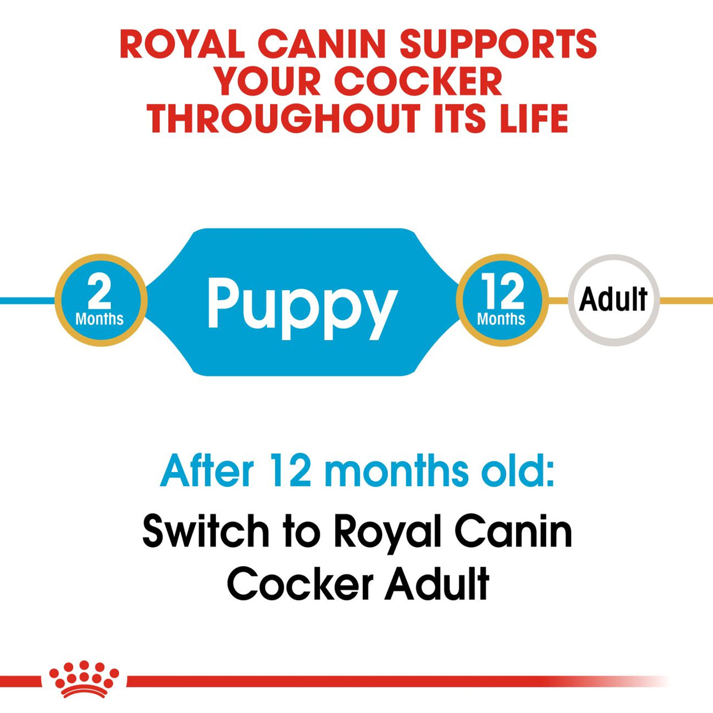 Royal Canin Cocker Dry Puppy Food 3KG